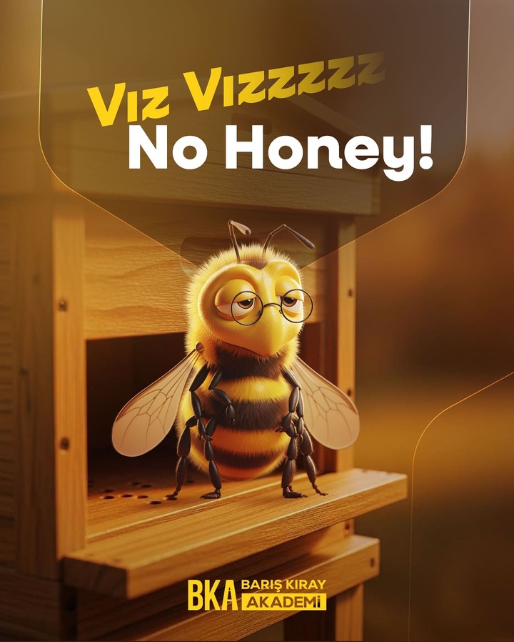 Barış Kıray Akademi Instagram